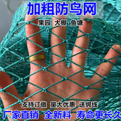 养护菜园网尼龙养殖网养鸡网山网围栏网护栏网拦鸡网防护网防鸟网