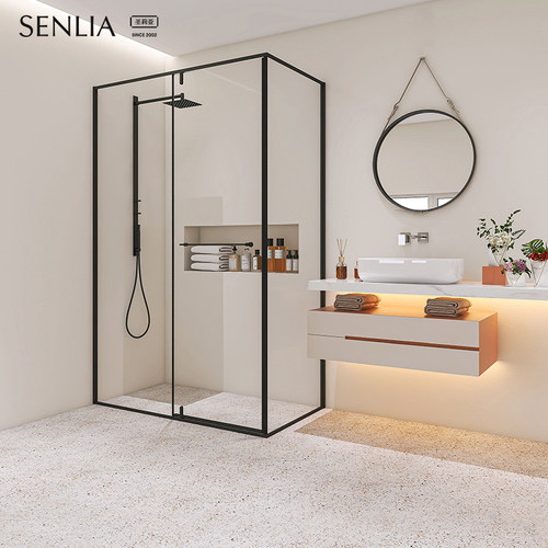 圣莉亚定制淋浴房方型极窄边平推拉门家用卫生间玻璃门淋浴隔断
