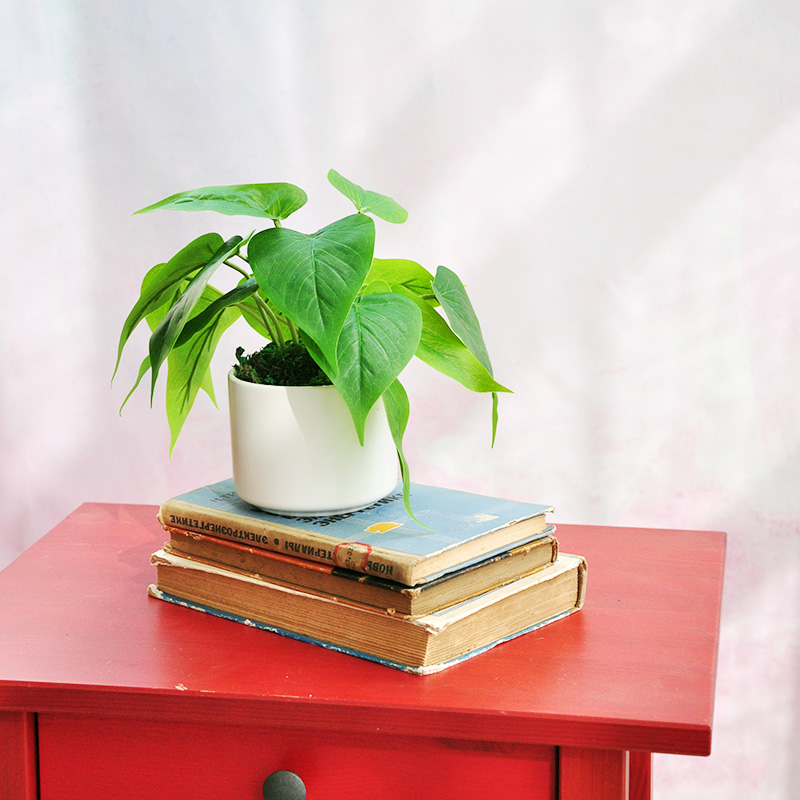 2件仿真假绿植物小陶瓷盆栽办公桌摆件装饰品蕨草叶子rt27