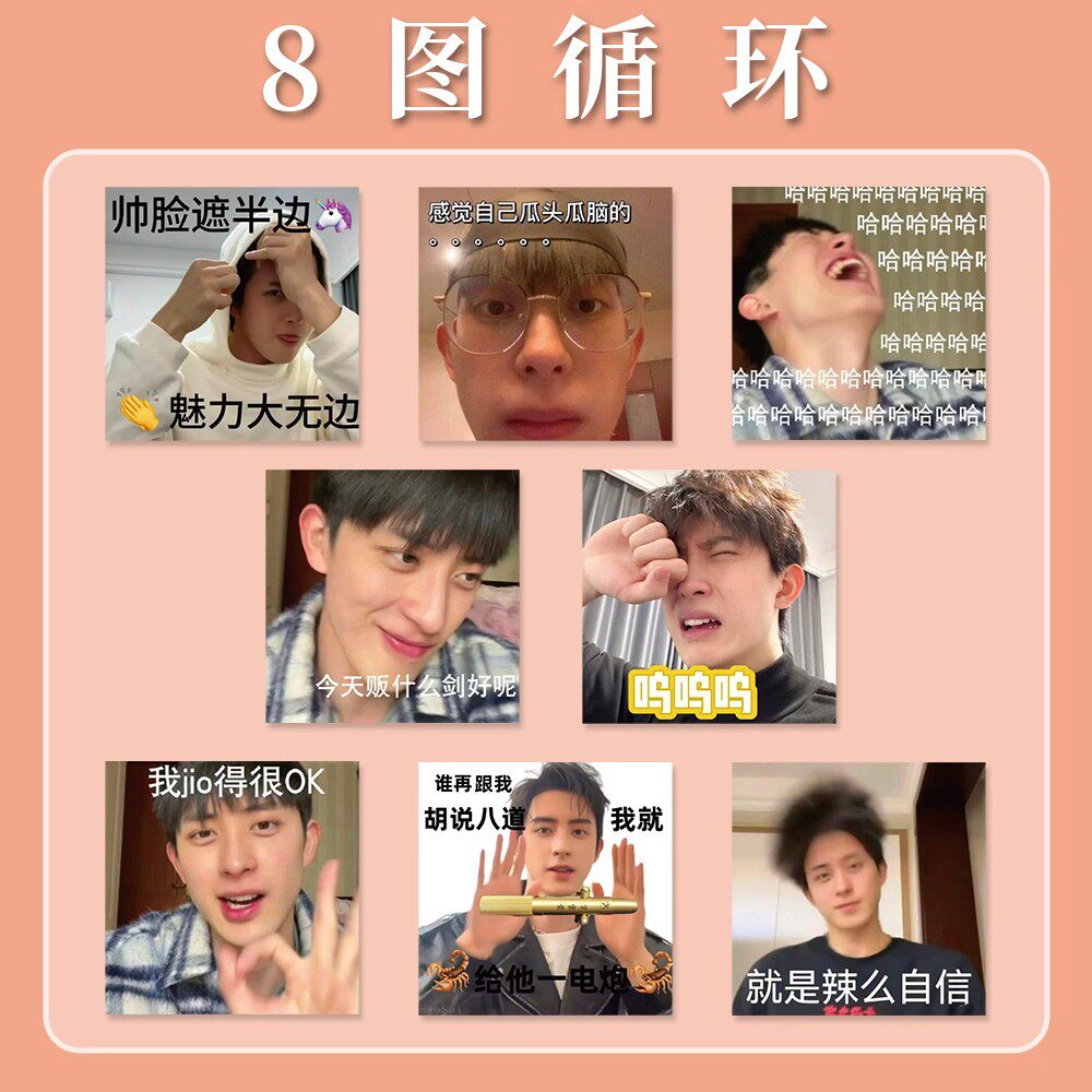 敖瑞鹏表情包贴纸防水手账贴纸