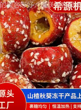 ERZ干冻浸冰糖葫芦裹糖机 山楂球小型上机 全自动冻干糖秋葵糖生