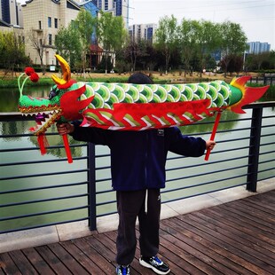 舞龙道具单人手举龙儿童学生成人舞蹈龙的传人表演道具单人群舞龙