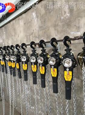 G80链条手葫芦HS型.AXY手扳葫芦吨拉紧器 3.21.5米 32T X 1拉.5M