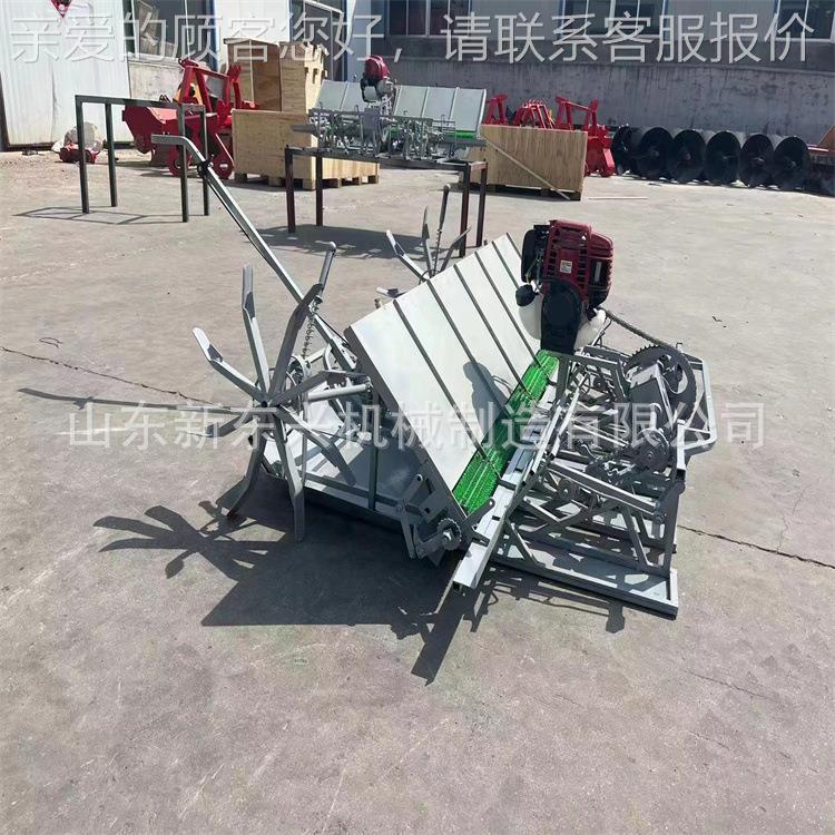 口水稻种机单行多水稻插秧机汽植行油DDF手推水稻插秧补苗出机