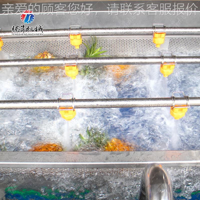 大型瓜果清工OSI洗加设备 菠萝生气泡清振动风干产线 除水机洗械
