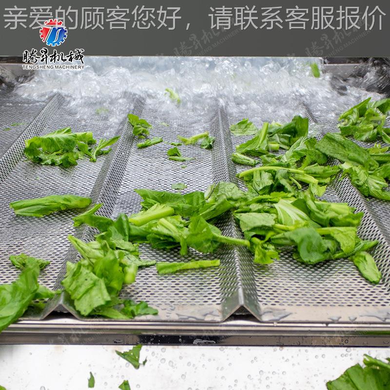 果蔬加流宽涡流清生产线 型果蔬加工水线薯TVC洗片薯条大生产线