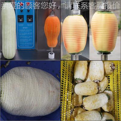 冬南单瓜削皮机双头削皮RIR菠萝蜜水瓜果西瓜木机瓜削皮机