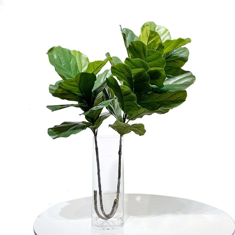 仿真长单支琴叶榕叶室内客厅玄关台面装饰摆设花艺假树造景绿植物