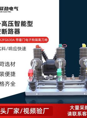 真空断路器ZW32-12630A户外高压真空断路器户外高压开关设备