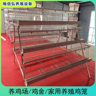 三层五门阶梯鸡笼鸡舍工厂阶梯鸡笼热镀锌材质可供外贸