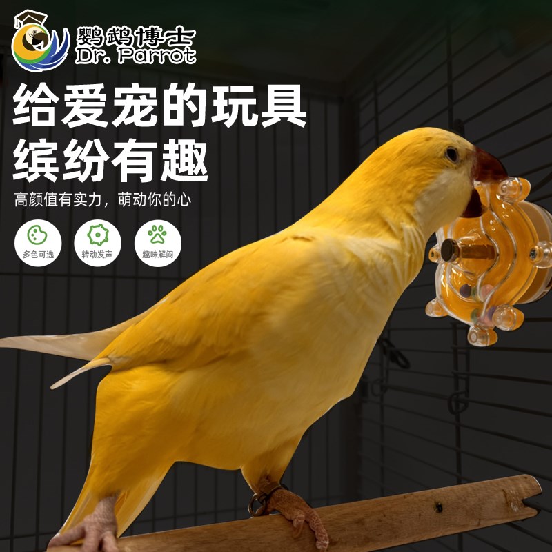 鹦鹉飞碟转转乐牡丹玄凤多彩转轮解压玩具小鸟趣味解闷啃咬鸟玩具