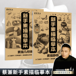 蔡兼素描几何体临摹本零基础石膏静物单体组合初学新手教程教学美术绘画联考教材书画本