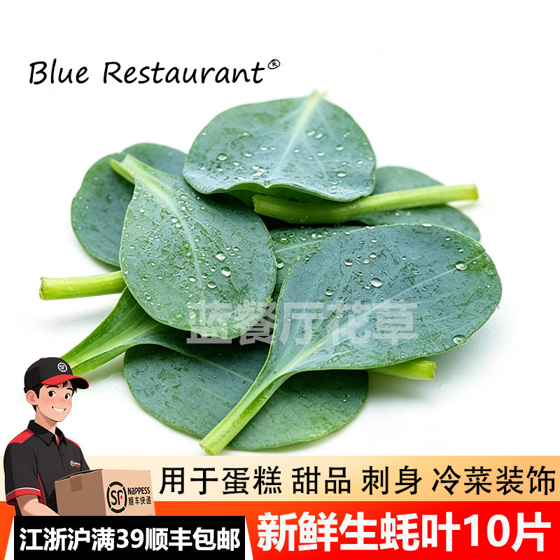 新鲜生蚝叶沙拉菜西餐餐饮可食