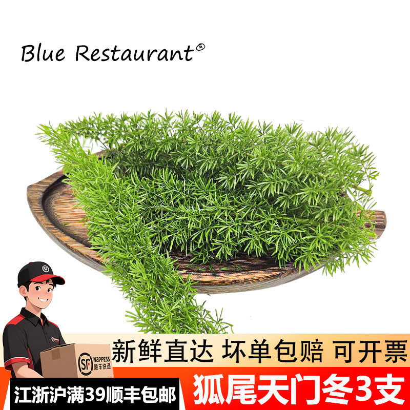 天门冬5支摆盘装饰花草