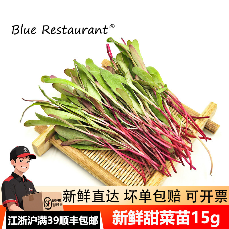 甜菜苗15g新鲜大头甜菜苗