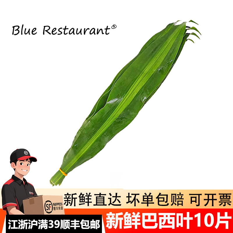 巴西木叶10片餐厅冷菜摆盘