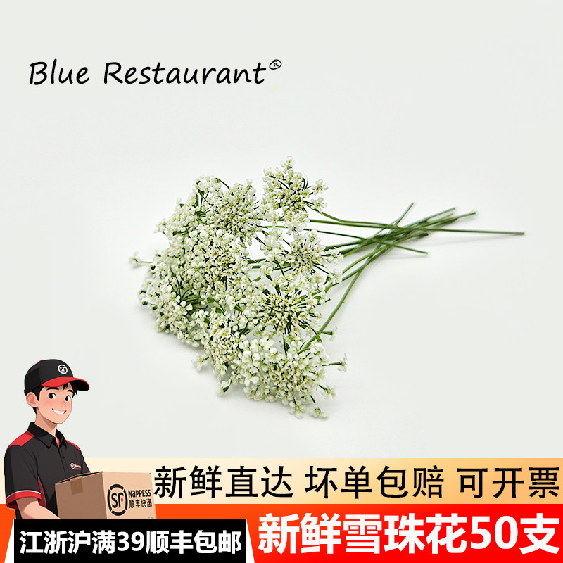 新鲜雪珠花 蕾丝花 白色小花酒店西餐日料摆盘冷菜蛋糕点缀装饰,水产肉类/新鲜蔬果/熟食,其它,淘宝优惠券,粉丝福利购,淘宝优惠卷