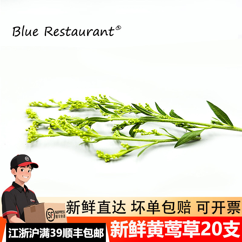 新鲜黄莺草日料西餐装饰点缀