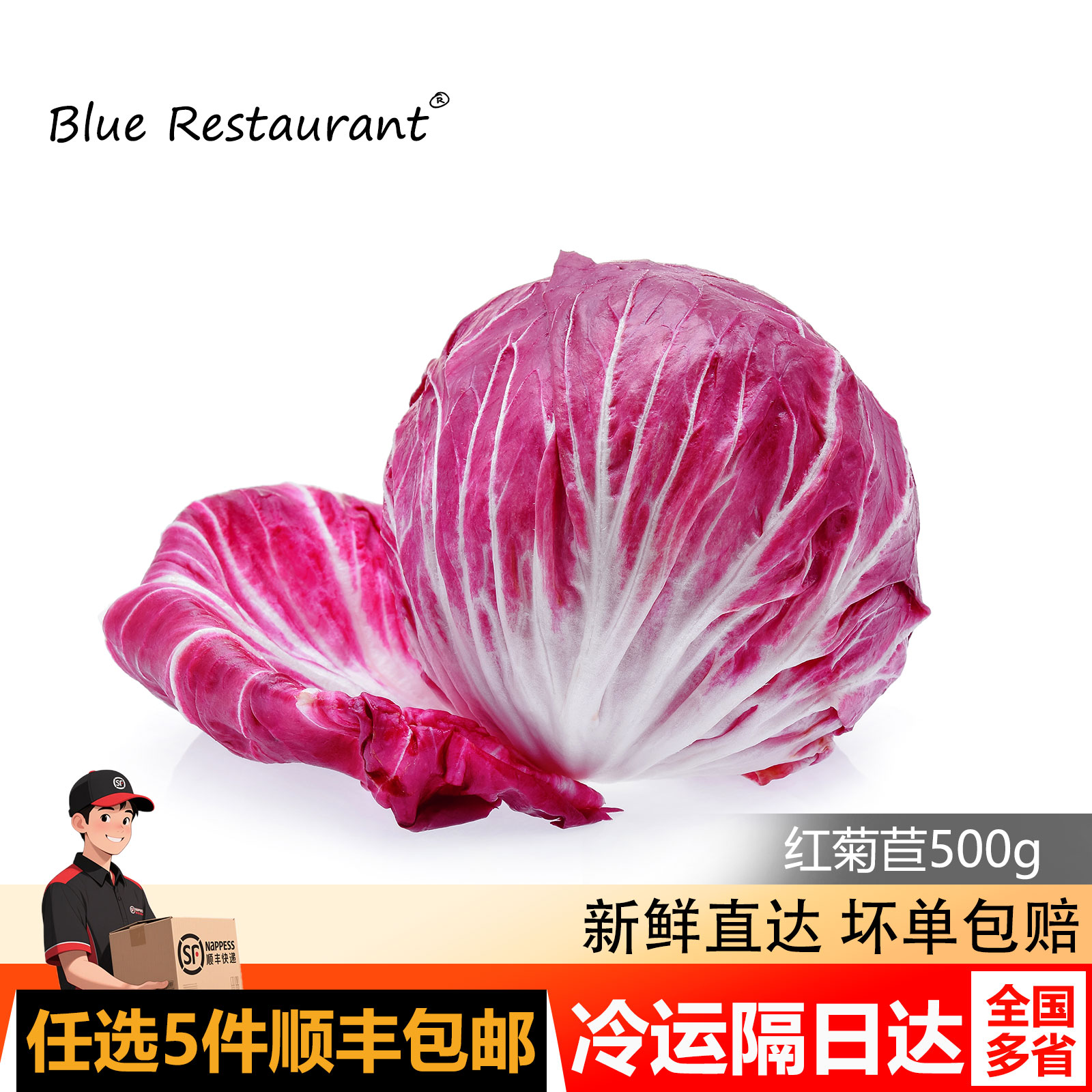 蓝餐厅红菊苣500g沙拉食材