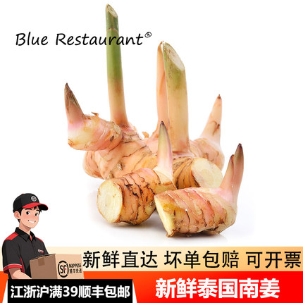泰国南姜新鲜高良姜泰式冬阴功汤原材料调料火锅底料蔬菜生姜香料