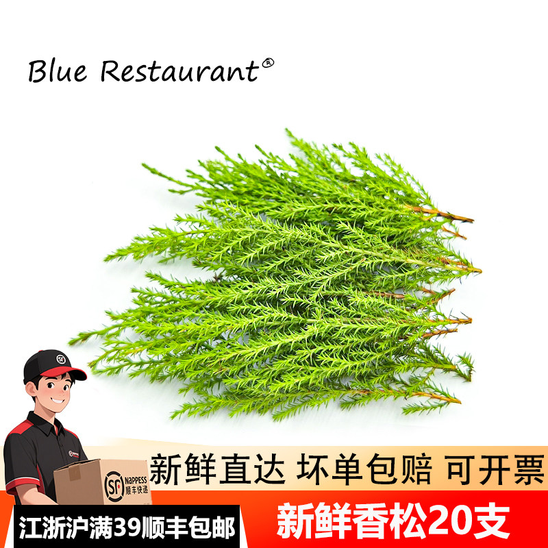 新鲜香松20支金冠柏酒店西餐