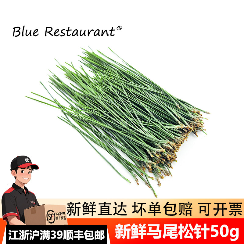 新鲜马尾松针50g西餐摆盘