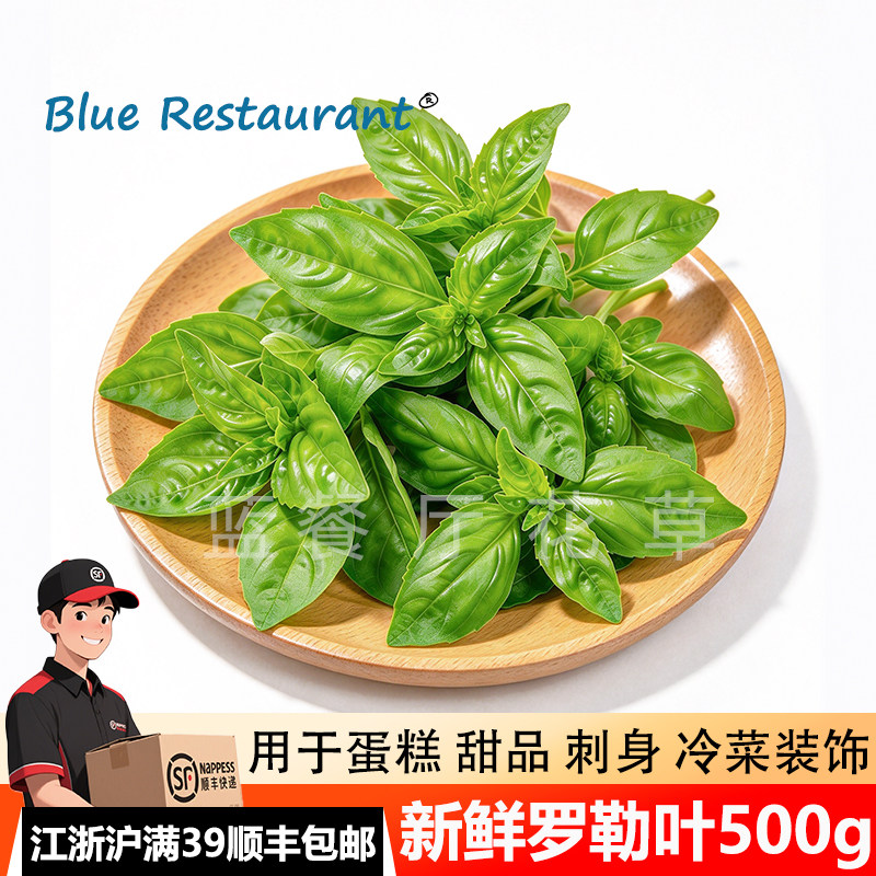 新鲜罗勒叶可食用香叶