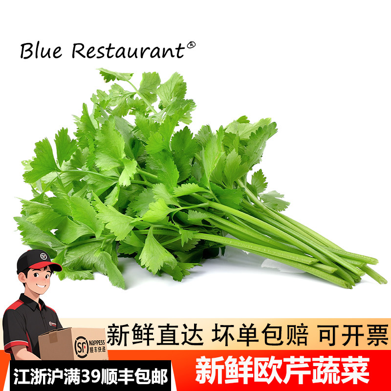 蓝餐厅新鲜欧芹意大利芹