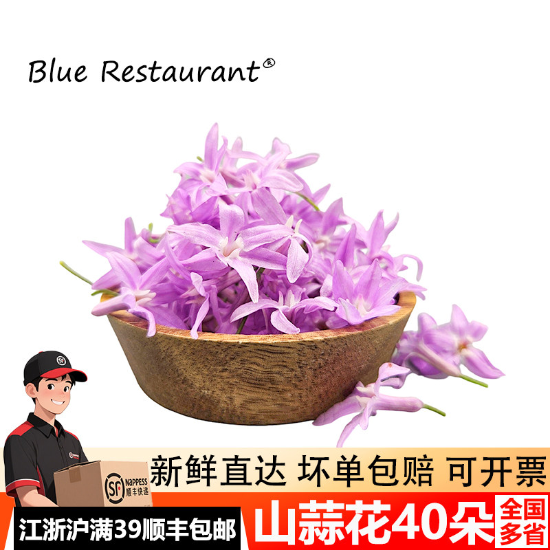 新鲜星光璀璨山蒜花装饰摆盘点缀