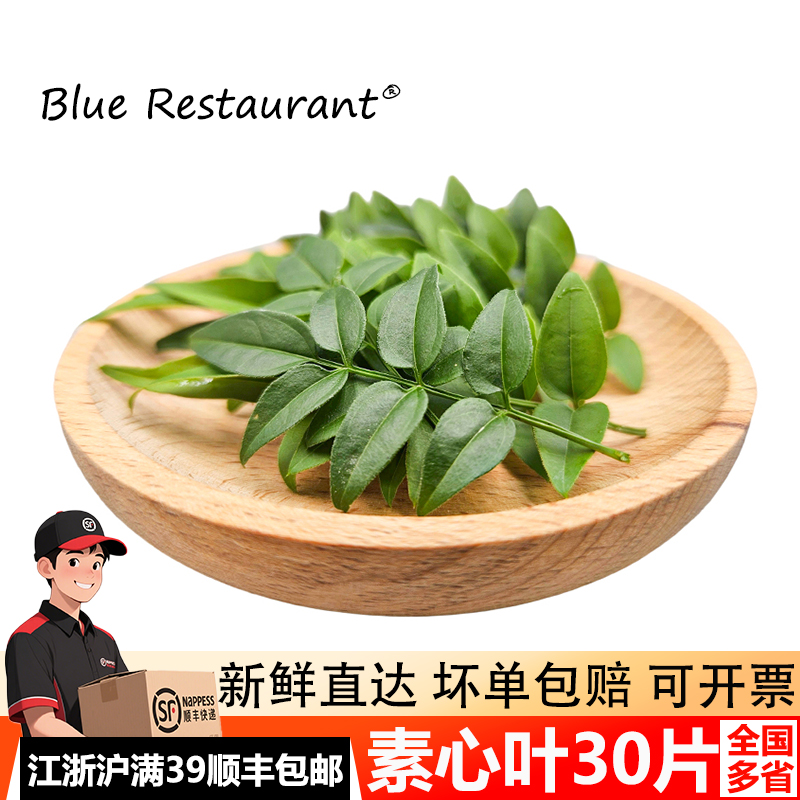 素馨叶30片刺身摆盘装饰叶子