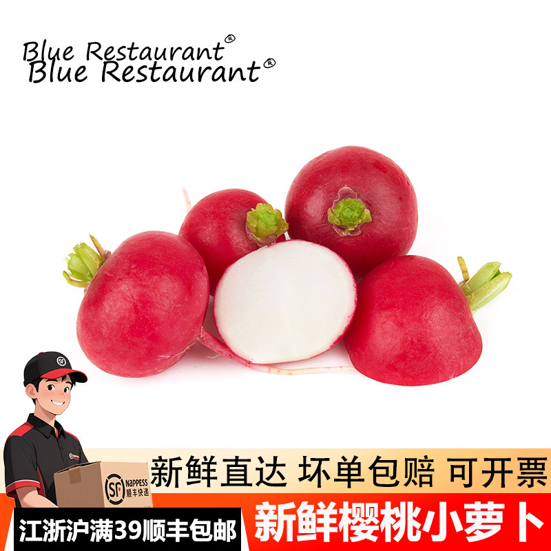 蓝餐厅新鲜樱桃萝卜500g