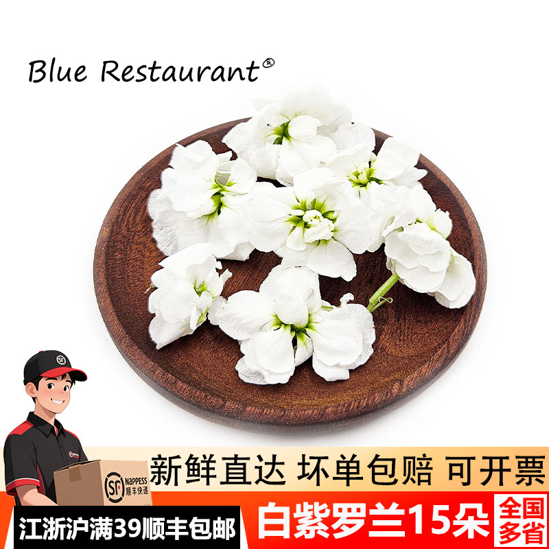 白色紫罗兰花摆盘装饰花草西餐