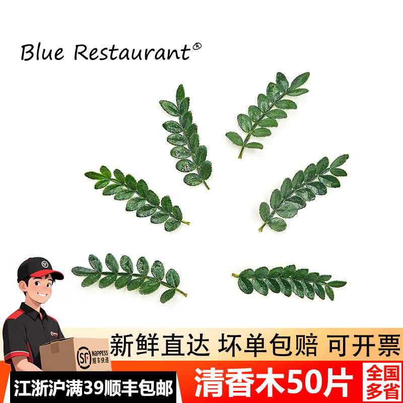 新鲜清香木西餐烘培装饰胡椒木叶子摆盘点缀花草蛋糕烘焙甜品专用