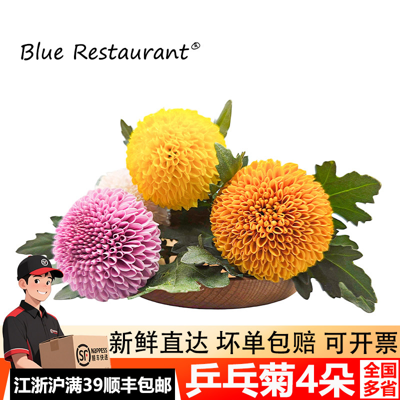 多色乒乓菊酒店烘焙摆盘装饰点缀