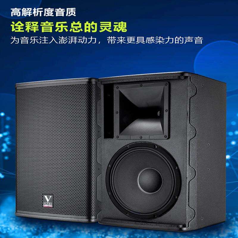 剧院之声M+系列专业音箱10~15寸全频桦木箱体170磁65芯低音专业级