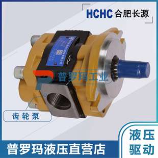 F520 550BFH BFP 563BFPL BFHL 525 HCHC合肥长源齿轮油泵CBN