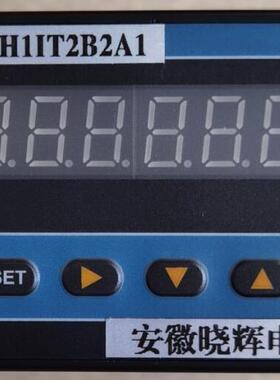 XSJ/C-H1IT2B2A1积算仪