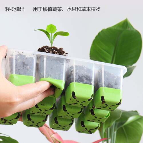 育苗盘育苗盒育苗盒高盖透光硅胶12孔加厚播种保温保湿发芽率高可
