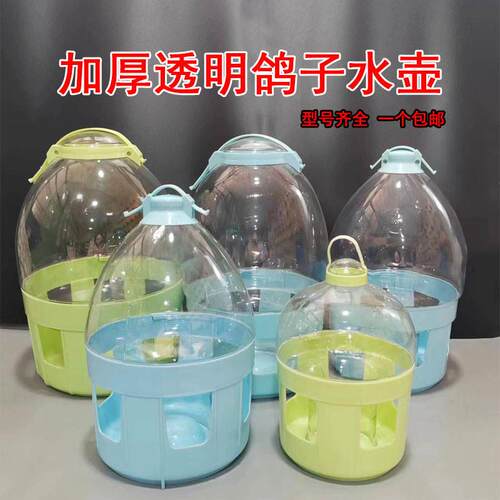 鸽子饮水器信鸽专用喂水器加大加厚自动喝水水槽透明超大容量包邮