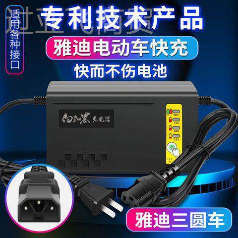 江电珂电铅动车充DRJ器/白加黑快速充电器 电酸和石墨烯池组专用