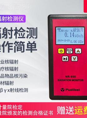 计专核辐射检测仪器31005大理石业放射性射线Y电离盖革X数器报警