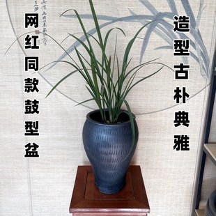 纯手工黑陶鼓型兰花盆莲瓣兰大雪素花盆黑陶泥瓦盆高筒花盆兰花盆