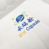 2024年秋季 家用枕头单人一只装 新款 云端舱分区护颈乳胶枕芯一对装