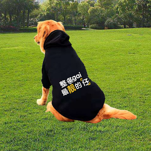 金毛衣服秋冬装大狗拉布拉多边牧萨摩耶哈士奇马犬德牧中型大型犬