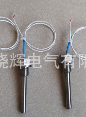 铜热电阻WZC-200WZG-200铂热电阻WZP-200