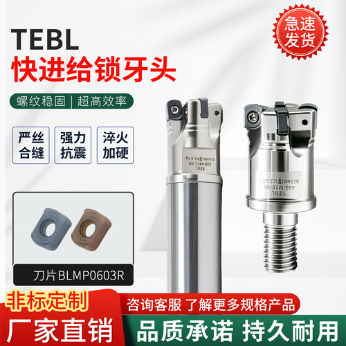 TEBL06快进给锁牙式刀头