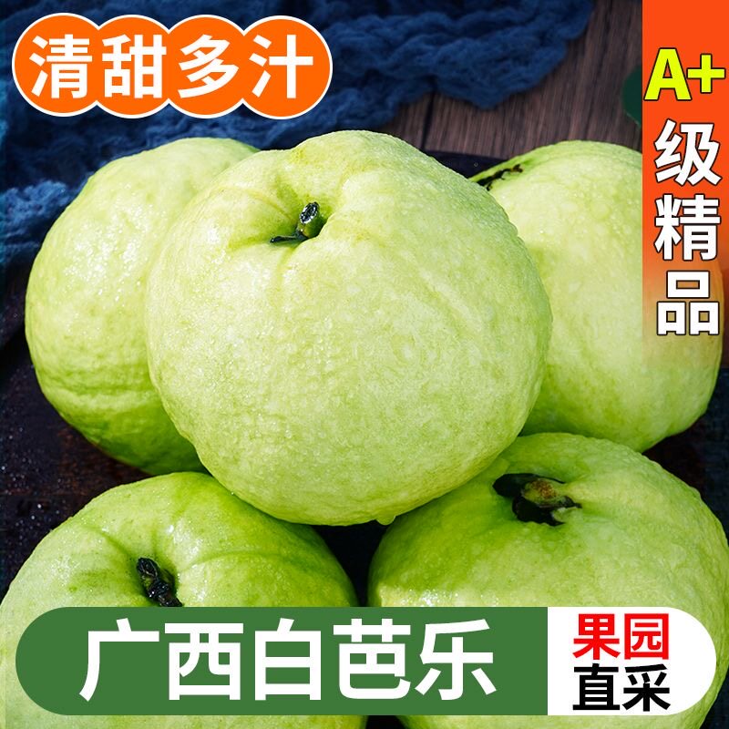 脆甜爽口番石榴白心芭乐果新鲜现摘广西当季水果硬脆巴乐5斤包邮