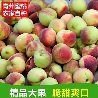 甜冬桃山东青州蜜桃雪桃桃子新鲜毛桃孕妇水果脆甜冬桃产地
