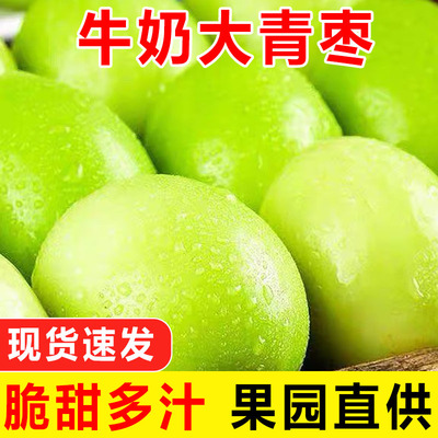 福建现摘大青枣新鲜水果当季农家整箱枣子牛奶枣现摘甜脆冬枣包邮