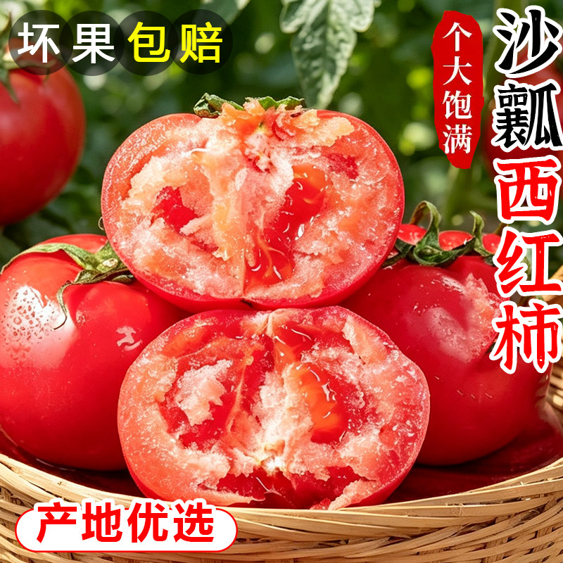 四川攀枝花西红柿新鲜自然熟5斤沙瓤水果非普罗旺斯鲜番茄包邮